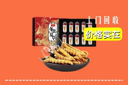 城关区回收冬虫夏草
