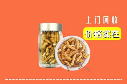 收购资讯:城关区回收散虫草