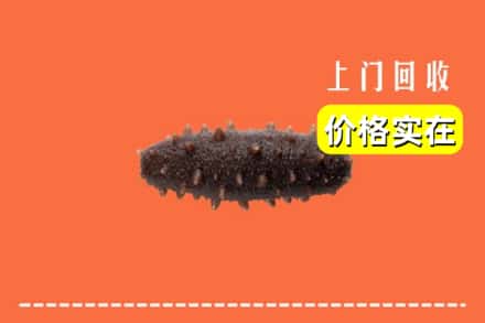 收购资讯:城关区回收海参