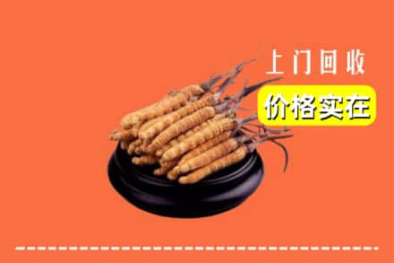 城关区回收冬虫夏草